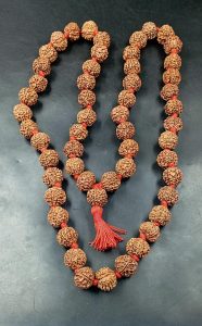 Rudraksha Malas