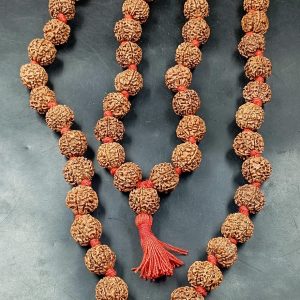 Rudraksha Malas